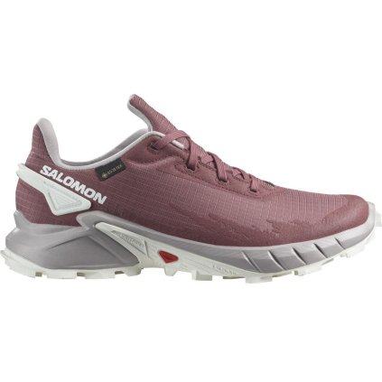 Salomon Alphacross 4 GTX W