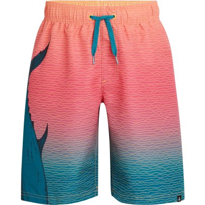 Firefly Naro III Swim Shorts Boys