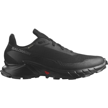 Salomon Alphacross 5 GTX M
