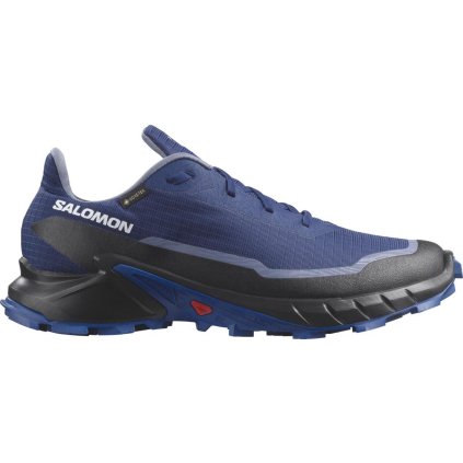 Salomon Alphacross 5 GTX M