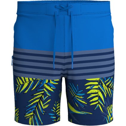 Firefly Nigel II Swim Shorts