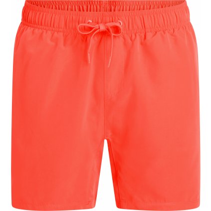 Firefly Ken IV Swim Shorts