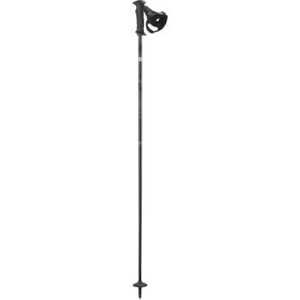 Salomon Carbon Ergo S3 Poles