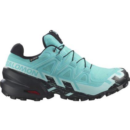 Salomon Speedcross 6 GTX W