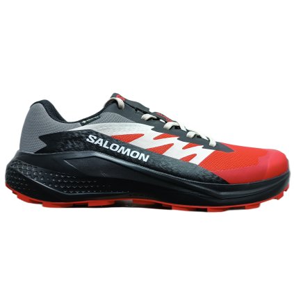 Salomon Alphaglide GTX M