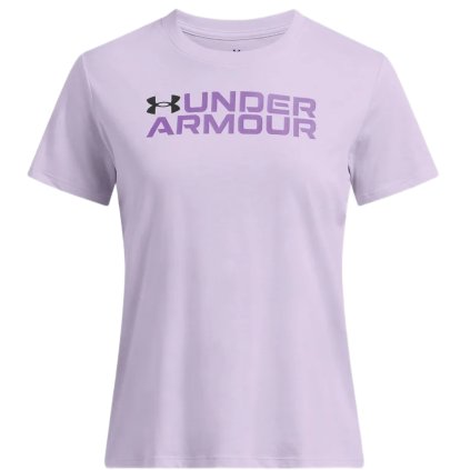 Under Armour Big Logo Pack w