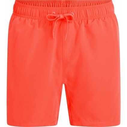Firefly Ken IV Swim Shorts