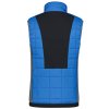 Icepeak Davis Vest M