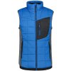 Icepeak Davis Vest M