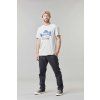 Picture Coastlife (Velikost XXL)