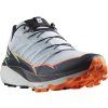 Salomon Thundercross M (Velikost 48 EUR)