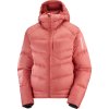 Salomon Outline Down Hooded Jkt W