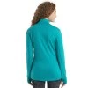 Icebreaker Merino Quantum III Jacket W (Velikost L)