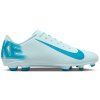 Nike Mercurial Vapor 16 Club FG/MG