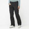 Salomon Edge Ski Pants W (Velikost XL)