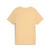 Puma Essentials Color No.1 Logo Tee mládí (Velikost 176)