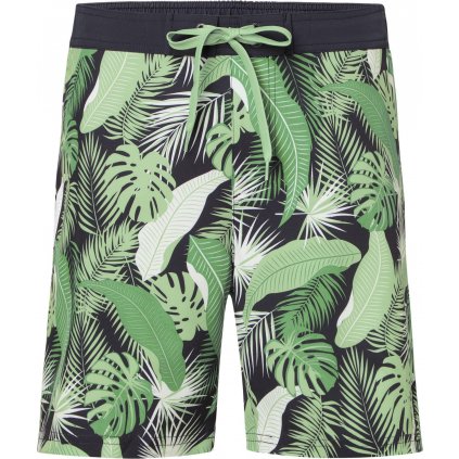 Firefly Nigel Swim Shorts