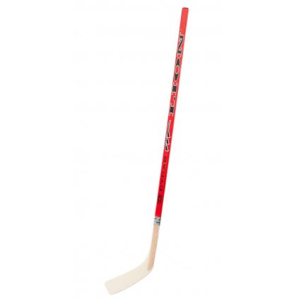 Lion Hockey Stick Straight Plastic Blade