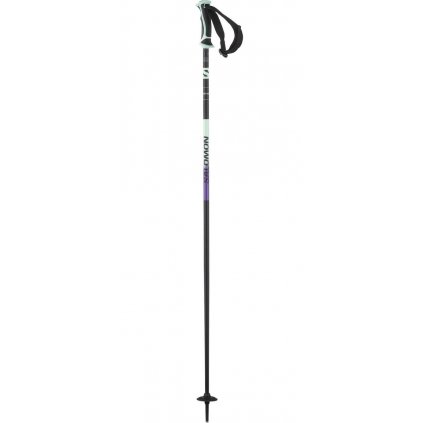 Salomon Shiva Alpine Poles W