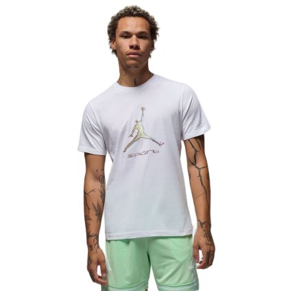 Nike Jordan Sport Dri-FIT T-Shirt