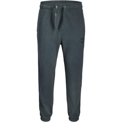 Jack & Jones Kane Bleecker Sweat Pants
