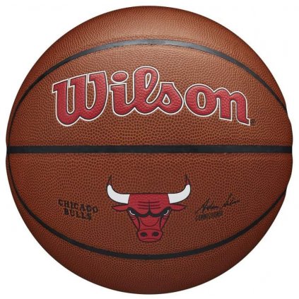 Wilson NBA Team Composite Chicago Bulls