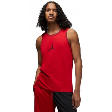 Nike Jordan Dri-FIT M