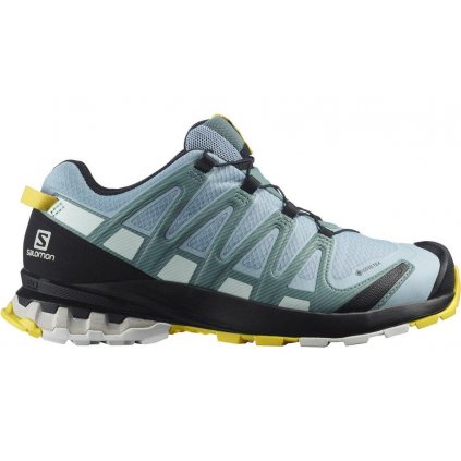 Salomon XA PRO 3D V8 GTX W