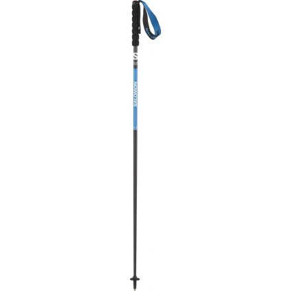 Salomon Pulsar Carbon Poles