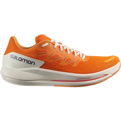 Salomon Spectur Running Shoes M