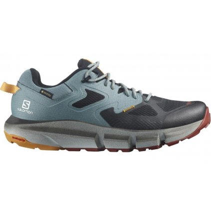 Salomon Predict Hike GTX Shoes M