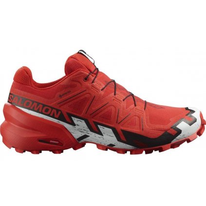 Salomon Speedcross 6 GTX M