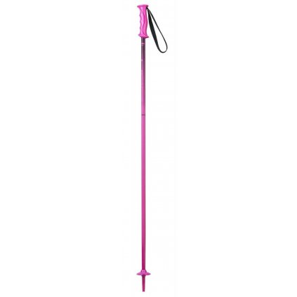 Elan Rockrod Poles JR