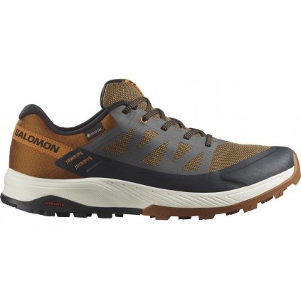 Salomon Outrise GTX M