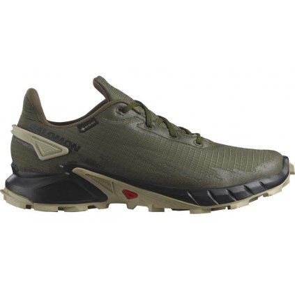 Salomon Alphacross 4 GTX M