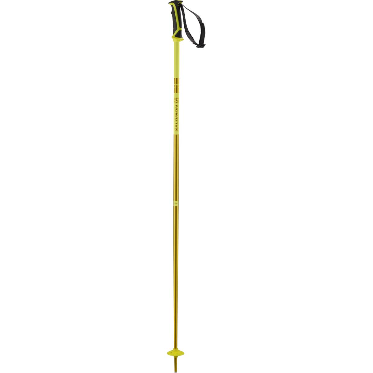 Salomon Arctic Alpine Poles , Lyžiarske palice, Velikosť: 115 cm