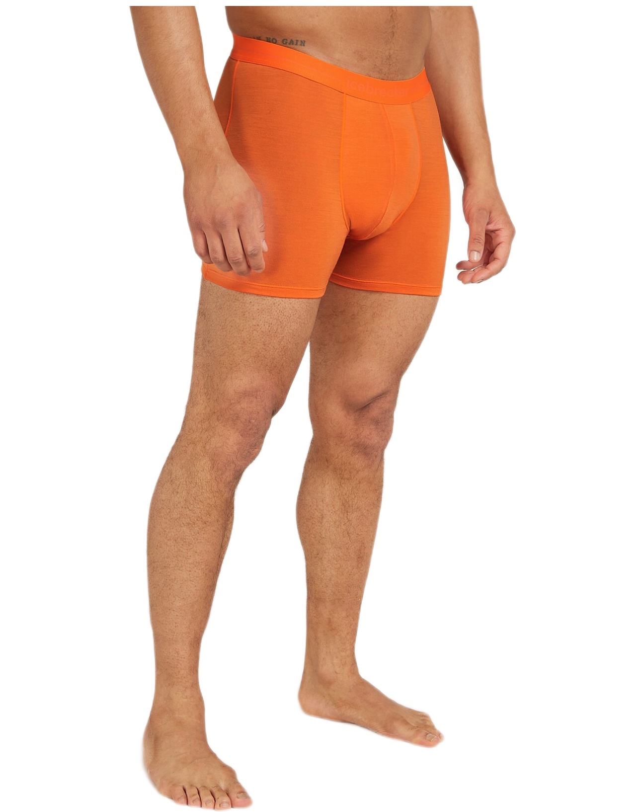 Icebreaker Merino 150 Anatomica Boxers