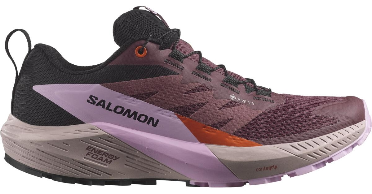 Salomon Sense Ride 5 GTX W Veľkosť: 38 EUR