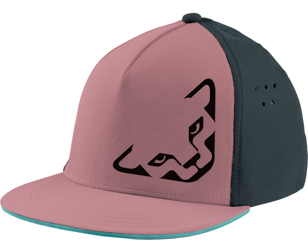 Dynafit Tech Trucker Cap , Šiltovka, Velikosť: Univerzálna veľkosť