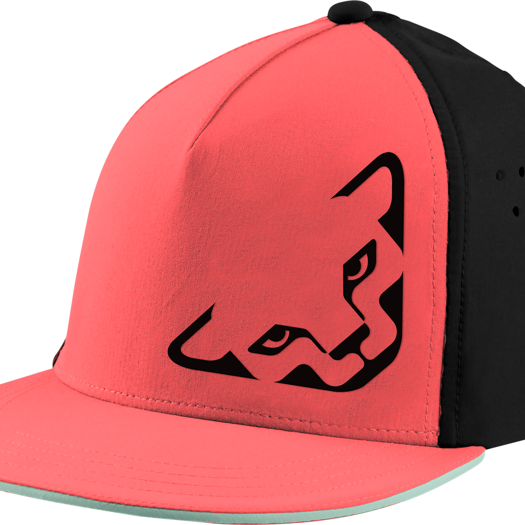 Dynafit Tech Trucker Cap , Šiltovka, Velikosť: Univerzálna veľkosť