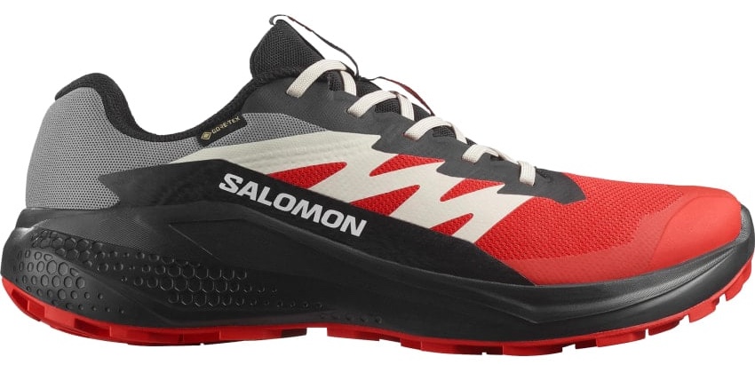 Salomon Alphaglide GTX M Veľkosť: 46 EUR