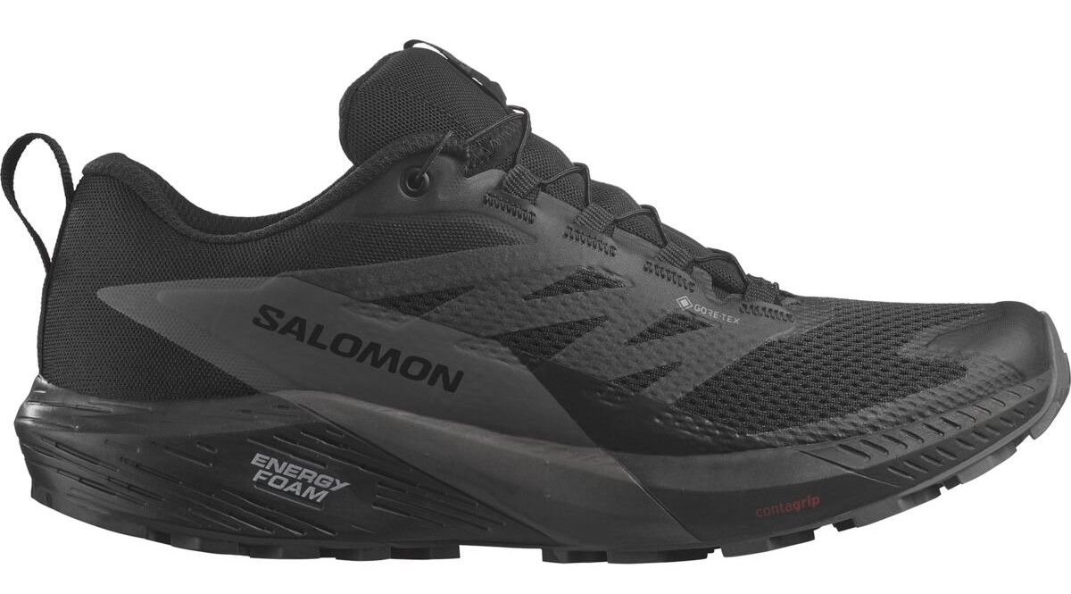 Salomon Sense Ride 5 GTX M , Trailová obuv, Velikosť: 45 1/3 EUR