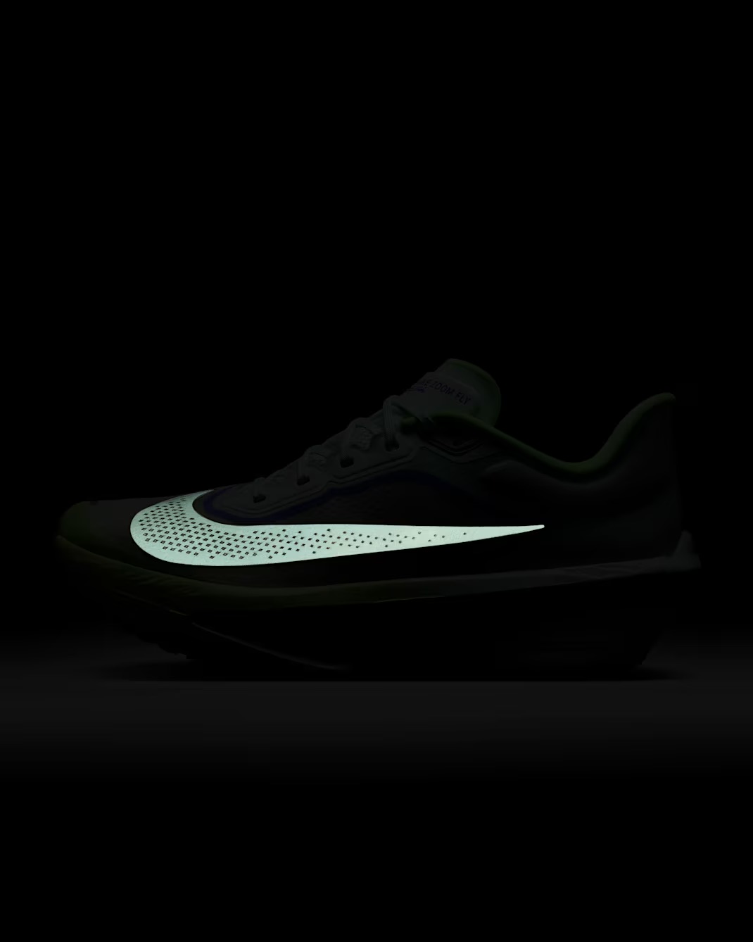 Nike Zoom Fly 6 M - Veľkosť: 100 · záber 10