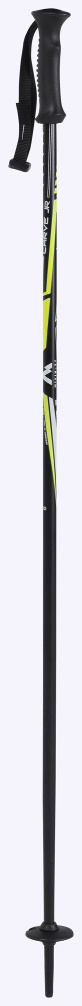 McKINLEY Carve Jr. cm, Detské lyžiarske palice, Velikosť: 110 cm