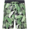 Firefly Nigel Swim Shorts