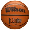 Wilson JR NBA Drv Fam Logo