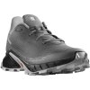 Salomon Alphacross 5 M
