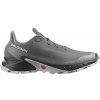 Salomon Alphacross 5 M