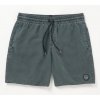 Volcom Center Trunks