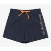 Quiksilver Behind Waves 15" Swim Shorts